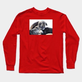 Dogs puppies / Swiss Artwork Photography Long Sleeve T-Shirt